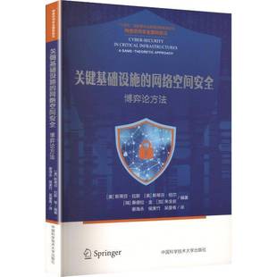 关键基础设施 博弈论方法斯蒂芬·拉斯图书书籍 网络空间