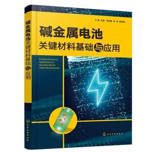 正版碱金属电池关键材料基础与应用王勇书店工业技术书籍畅想畅销书