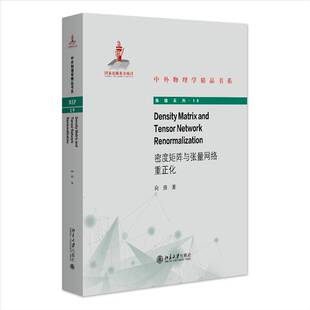 正版DENSITY MATRIX AND TENSOR NETWORK RENORMALIZATION（密度矩阵与张量网络重正化）向涛书店自然科学书籍 畅想畅销书