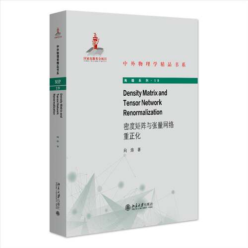 正版DENSITY MATRIX AND TENSOR NETWORK RENORMALIZATION（密度矩阵与张量网络重正化）向涛书店自然科学书籍 畅想畅销书