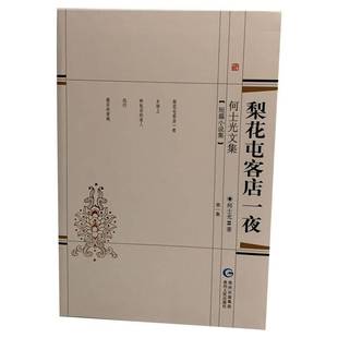 梨花屯客店一夜何士光小说书籍