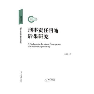 正版 畅想畅销书 刑事责任附随后果研究孙燕山书店法律书籍