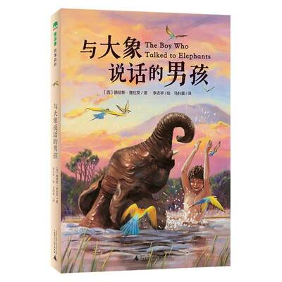 与大象说话的男孩路易斯·普拉茨图书书籍