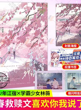 【随书附赠品】喜欢你我说了算 未完结 叶非夜 青春校园救赎言情小说 江宿逆光少年x林薇学霸少女