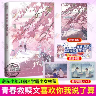【随书附赠品】喜欢你我说了算 未完结 叶非夜 青春校园救赎言情小说 江宿逆光少年x林薇学霸少女