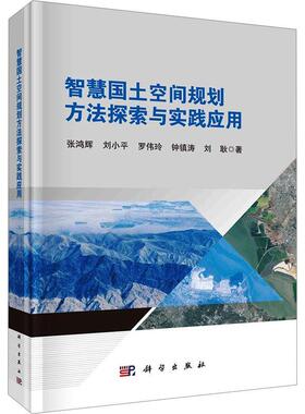 正版智慧国土空间规划方法探索与实践应用张鸿辉书店经济书籍 畅想畅销书