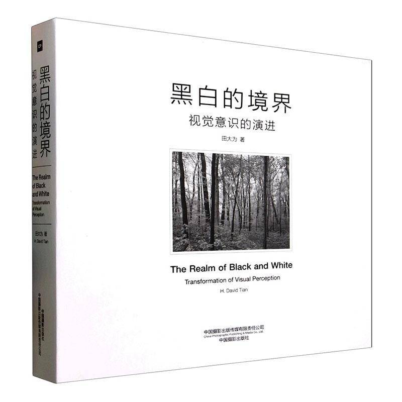 黑白的境界:视觉意识的演进田大为艺术书籍