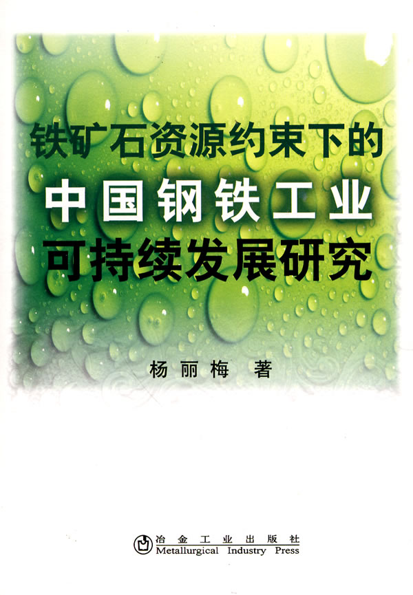 正版包邮 铁矿石资源约束下的中国钢铁工业可持续发展研究\杨丽梅 杨丽梅 书店 工业经济书籍 畅想畅销书