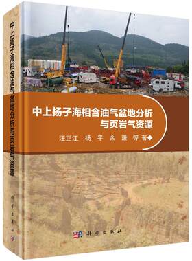 正常发货 正版包邮 中上扬子海相含油气盆地分析与页岩气资源 汪正江 书店 石油、天然气地质与勘探书籍 畅想畅销书