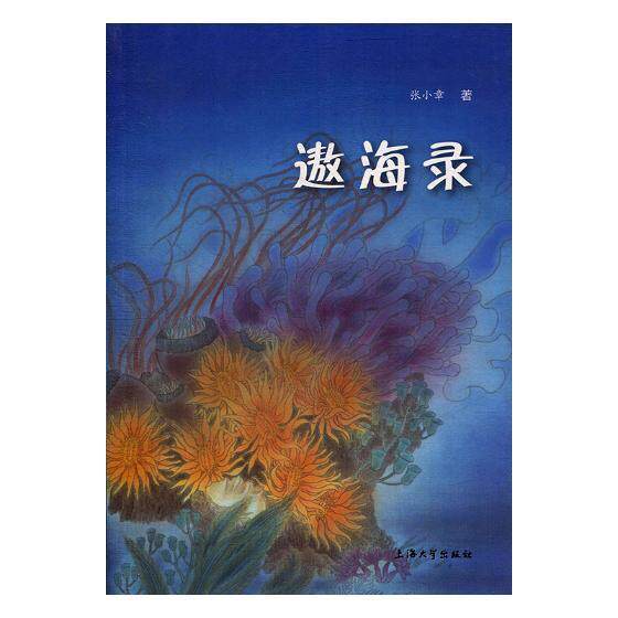 正版遨海录:大脚爷爷·会飞的海龟·李海臣·海族语·遨海录张小章书店儿童读物书籍 畅想畅销书