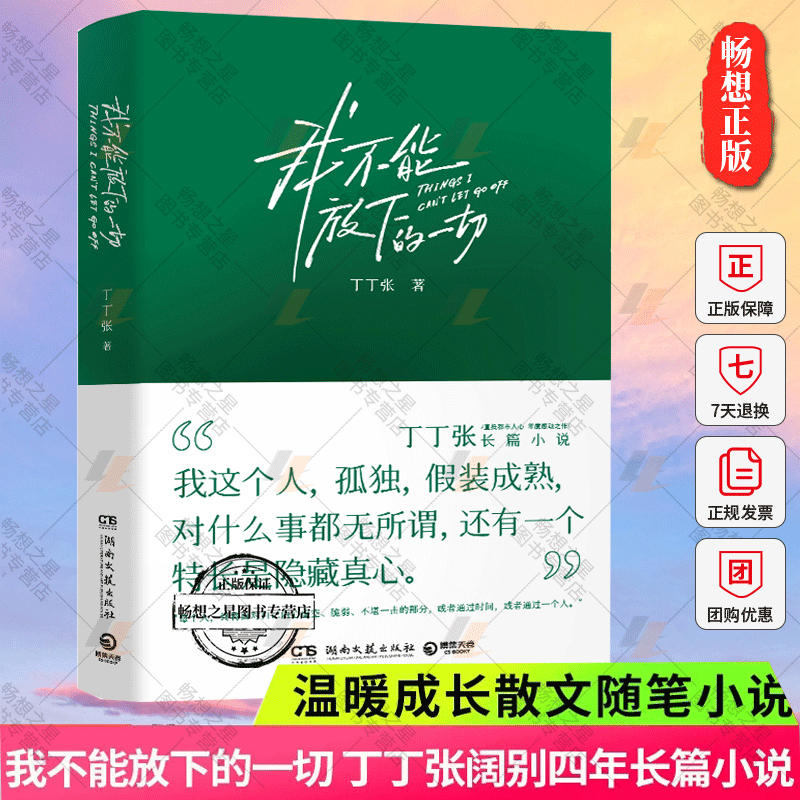 正版包邮 我不能放下的一切丁丁张阔别四年长篇小说温暖成长散文随笔小说人们看起来云淡风轻却总是记挂着不能放下的一切 博集天卷