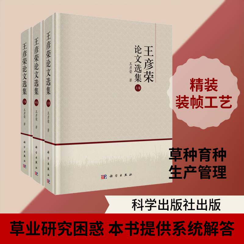 王彦荣论文选集王彦荣图书书籍