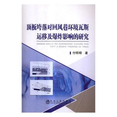 正版包邮 顶板垮落对回风巷环境瓦斯运移及爆炸影响的研究 付明明 书店 一般工业技术书籍 畅想畅销书