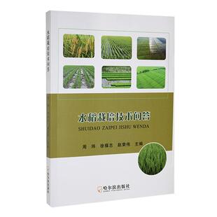正版水稻栽培技术问答周玮书店农业、林业书籍 畅想畅销书