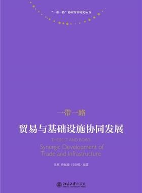 正版:贸易与基础设施协同发展:synergic development of trade and infrastructure张辉书店经济书籍 畅想畅销书