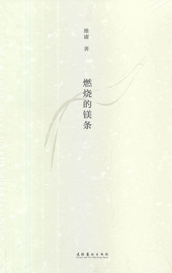 正版包邮 燃烧的镁条维庸书店文学书籍 畅想畅销书