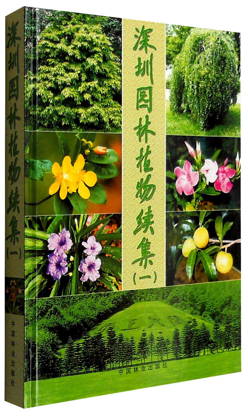 正版包邮 深圳园林植物续集 一  深圳市仙湖植物园 观赏园艺书籍 园林植物1500多种 9787503837982 中国林业出版社