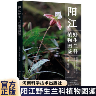 阳江野生兰科植物图鉴陈国棣陈又生广东省兰科植物图鉴书籍 小叶兜兰硬叶兜兰独占春肉果兰深圳香荚 兰识别鉴赏指南