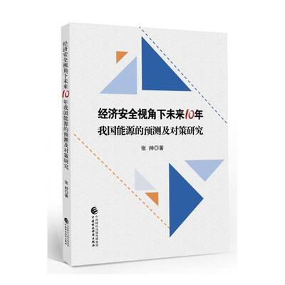 正版包邮 经济安全视角下未来10年我国能源的预测及对策研究 张帅 书店经济 书籍 畅想畅销书