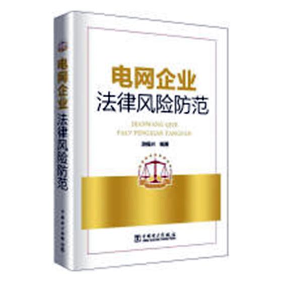 正版包邮 电网企业法律风险防范 游福兴 书店 输配电工程、电力网及电力系统书籍 畅想畅销书