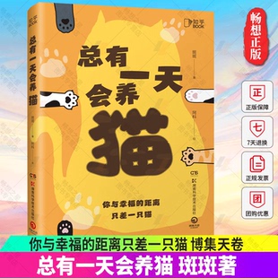 正版包邮 总有一天会养猫 斑斑著 你与幸福的距离只差一只猫 360度讲解关于猫的一切 博集天卷9787571021054