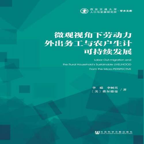 微观视角下劳动力外出务工与农户生计可持续发展李聪经济书籍