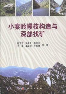 正常发货 正版包邮 小秦岭幔枝构造与深部找矿 孙卫志等 书店 选矿书籍 畅想畅销书
