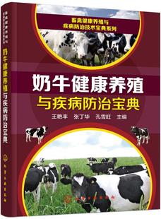 奶牛养殖技术教程 自学养奶牛 奶牛饲养管理技术 正版 奶牛疾病与治疗 奶牛健康养殖与疾病宝典 奶牛选种与繁育图书籍