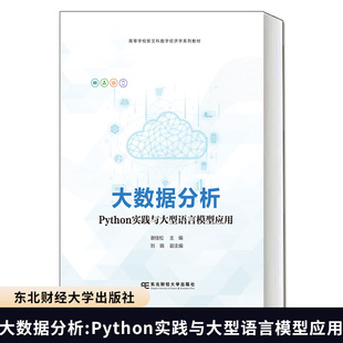 大数据分析:Python实践与大型语言模型应用谢佳松 编著9787565458415东北财经大学出版社