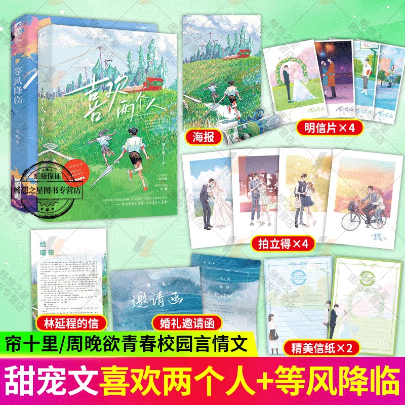 喜欢两个人 等风降临  周晚欲/帘十里著 高人气校园暗恋文青春文学