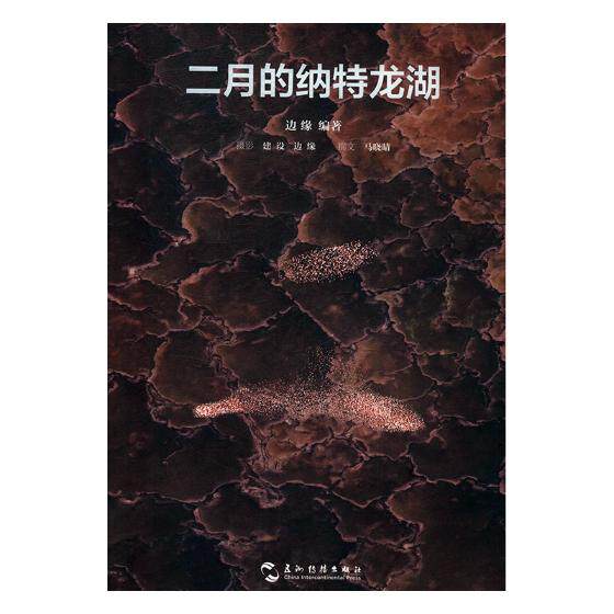 正版包邮 二月的纳特龙湖 边缘 书店 艺术理论书籍 畅想畅销书