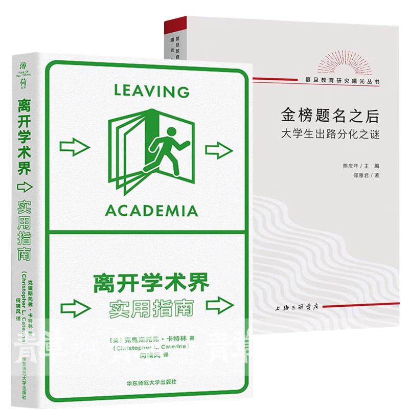 正版包邮 全套2册 离开学术界 实用指南+金榜题名之后：大学生出路分化之谜 教育文化社会学 应对职业转型