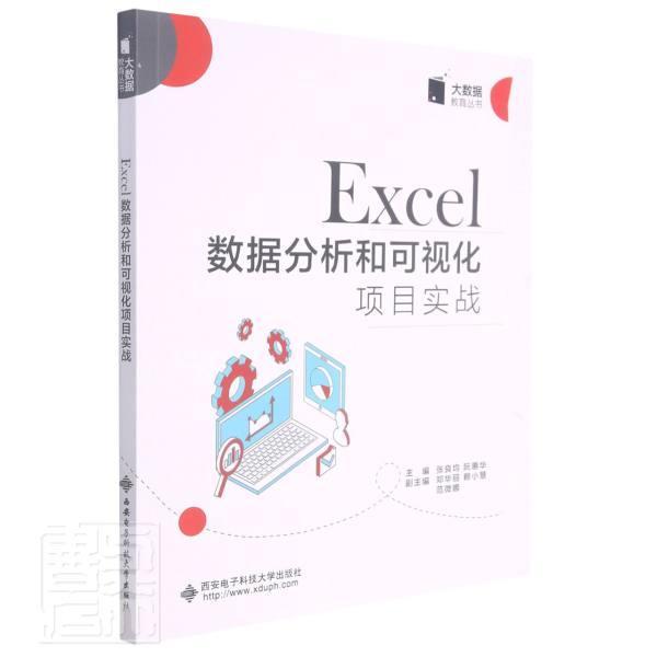 正版包邮 Excel数据分析和可视化项目实战/大数据教育丛书者_张良均阮惠华责_刘炳桢毛红书店计算机与网络书籍 畅想畅销书