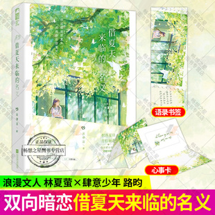 夏日校园暗恋萌芽 浪漫文人×肆意少年 宝藏小众校园文 借夏天来临 正版 莫停追 从校服到婚纱言情校园畅销实体小说书籍 大鱼 名义