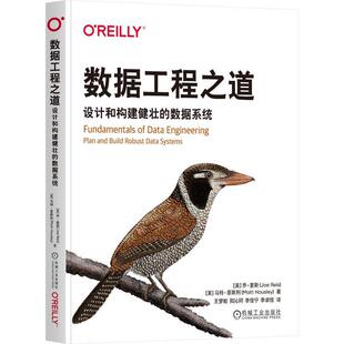 正版数据工程之道:设计和构建健壮的数据系统乔·里斯书店计算机与网络书籍 畅想畅销书