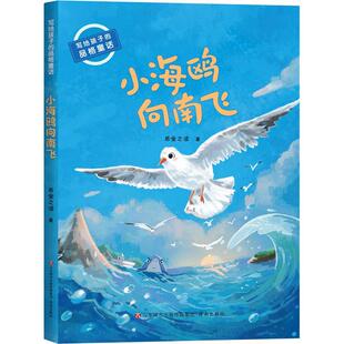 正版小海鸥向南飞若金之波书店儿童读物书籍 畅想畅销书