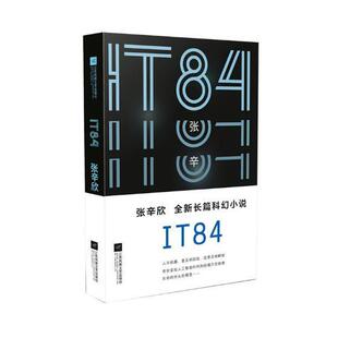 畅想畅销书 IT84张辛欣书店小说书籍 正版 包邮