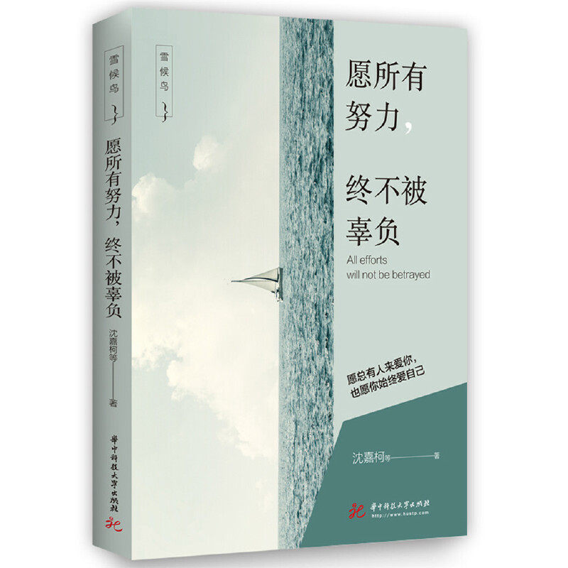 华中科技出版社 成功/激励 激励 写给每一个不甘平凡 默默努力的你