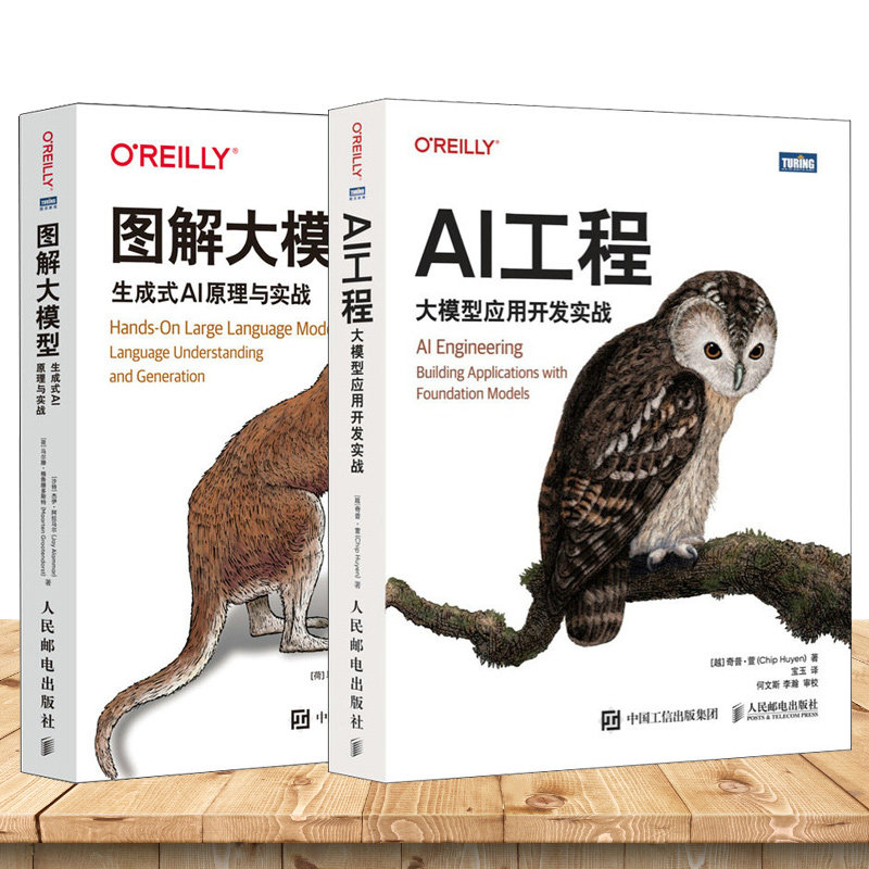 AI工程:大模型应用开发实战 奇普·萱 大模型应用实战开发图解从零构建大模型LLM大语言模型AI人工智能 图书书籍 人民邮电出版社