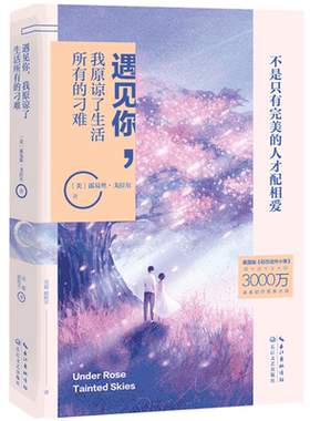 正版包邮 遇见你，我原谅了生活所有的刁难 露易丝·戈纳尔吴瑕郝格平时代华语出品 书店 爱情小说书籍 畅想畅销书