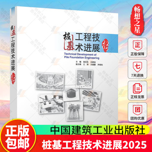 桩基工程技术进展2025  主编 高文生 丘建金 副主编 王涛 文建鹏 齐明柱  中国建筑工业出版社9787112317851 畅想之星图书专营店