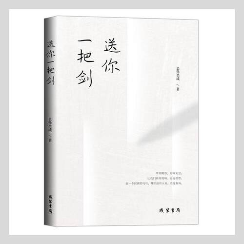 正版包邮 送你一把剑长孙金成书店文学书籍 畅想畅销书