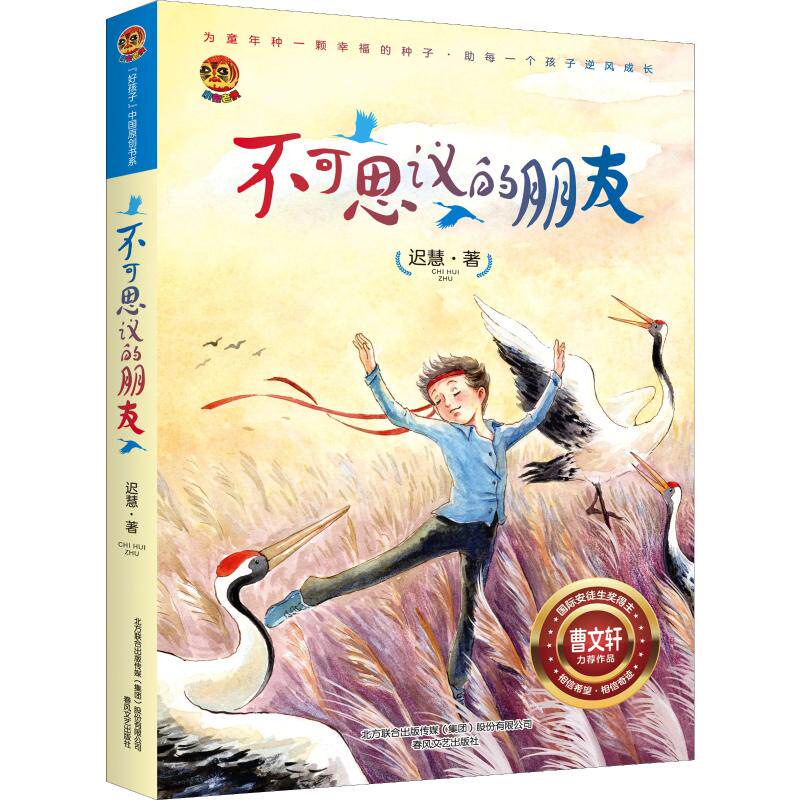 正版包邮  不可思议的朋友 迟慧 小学生课外阅读书籍 童话故事书 故事