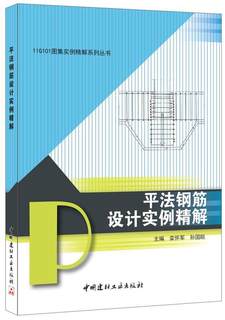 正版包邮 11G101图集实例精解系列丛书·平法钢筋设计实例精解栾怀军书店建筑书籍 畅想畅销书