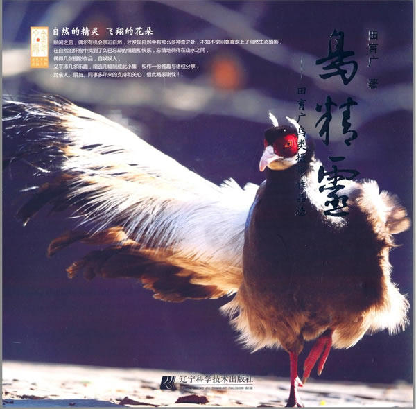 正版包邮 鸟精灵-田育广鸟类摄影作品选 田育厂 书店 作品集、作品赏析书籍 书 畅想畅销书