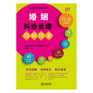 正版包邮 婚姻纠纷处理图解锦囊 郑秀军 书店 司法案例与司法解释书籍 书 畅想畅销书