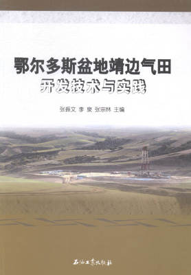 正版包邮 鄂尔多斯盆地靖边气田开发技术与实践 张振文 书店 石油、天然气工业书籍 畅想畅销书