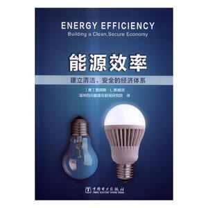 正版包邮 能源效率：建立清洁、安全的经济体系 詹姆斯·斯威尼 书店 电工基础理论书籍 书 畅想畅销书
