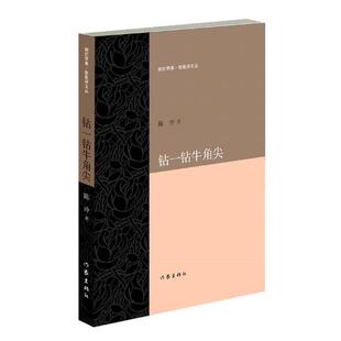 正版包邮 钻一钻牛角尖 陈冲 文学理论与批评文学 中国当代小说书籍 书 畅想畅销书 作家出版社