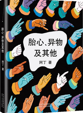 正版包邮 胎心、异物及其他         （马原、野夫、徐星、慕容雪村作家，让人有理由期待另一个余华 阿丁 书店 中国书籍 书